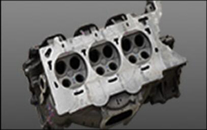 較強(qiáng)的適應(yīng)性 較強(qiáng)的適應(yīng)性